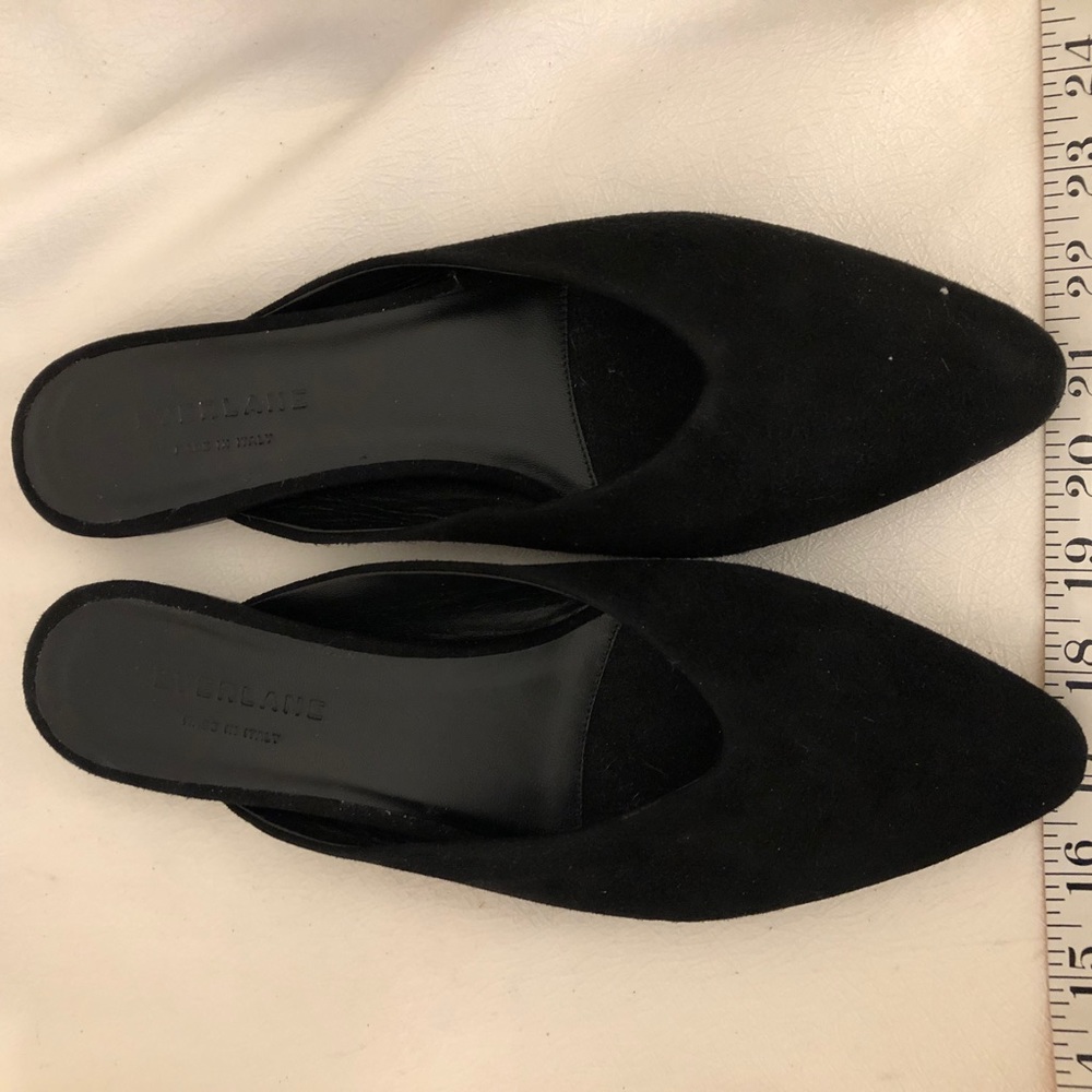 Everlane NIB Suede Mules (8M)